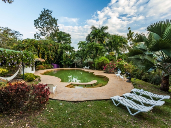 Finca tradicional con espacios naturales llenos de vegetación y con piscina de piedra natural. Un ambiente diferente, en medio de la naturaleza.